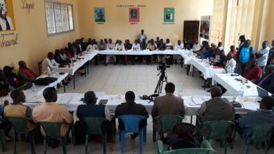 African Union panel meets CAR armed groups