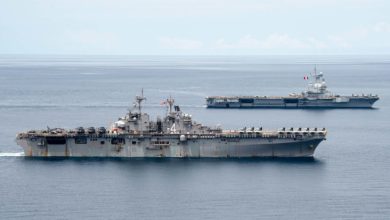 USS Boxer and FS Charles de Gaulle