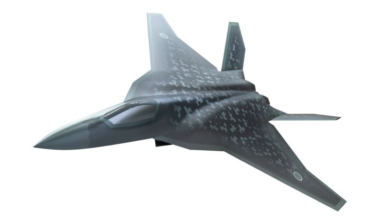 Concept art released by Japanese Ministry of Defense of the Mitsubishi F-X fighter.