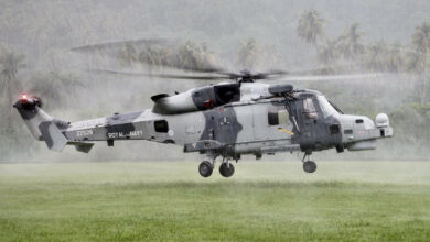 Wildcat