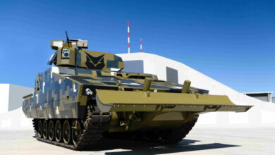 The Lynx Type II