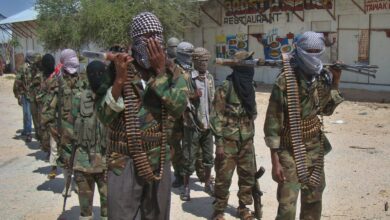 Al-Shabab militants