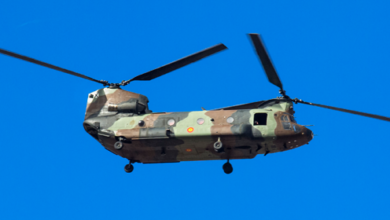 Chinook