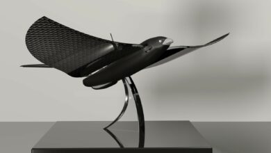 The Bionic Bird drone model