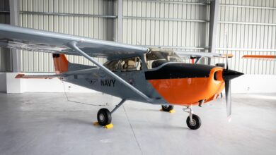 Skylark