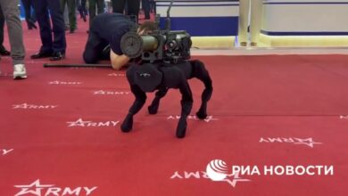 M-81 robot dog