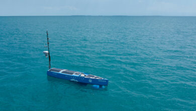 Bluebottle watercraft drone