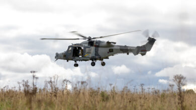 Wildcat