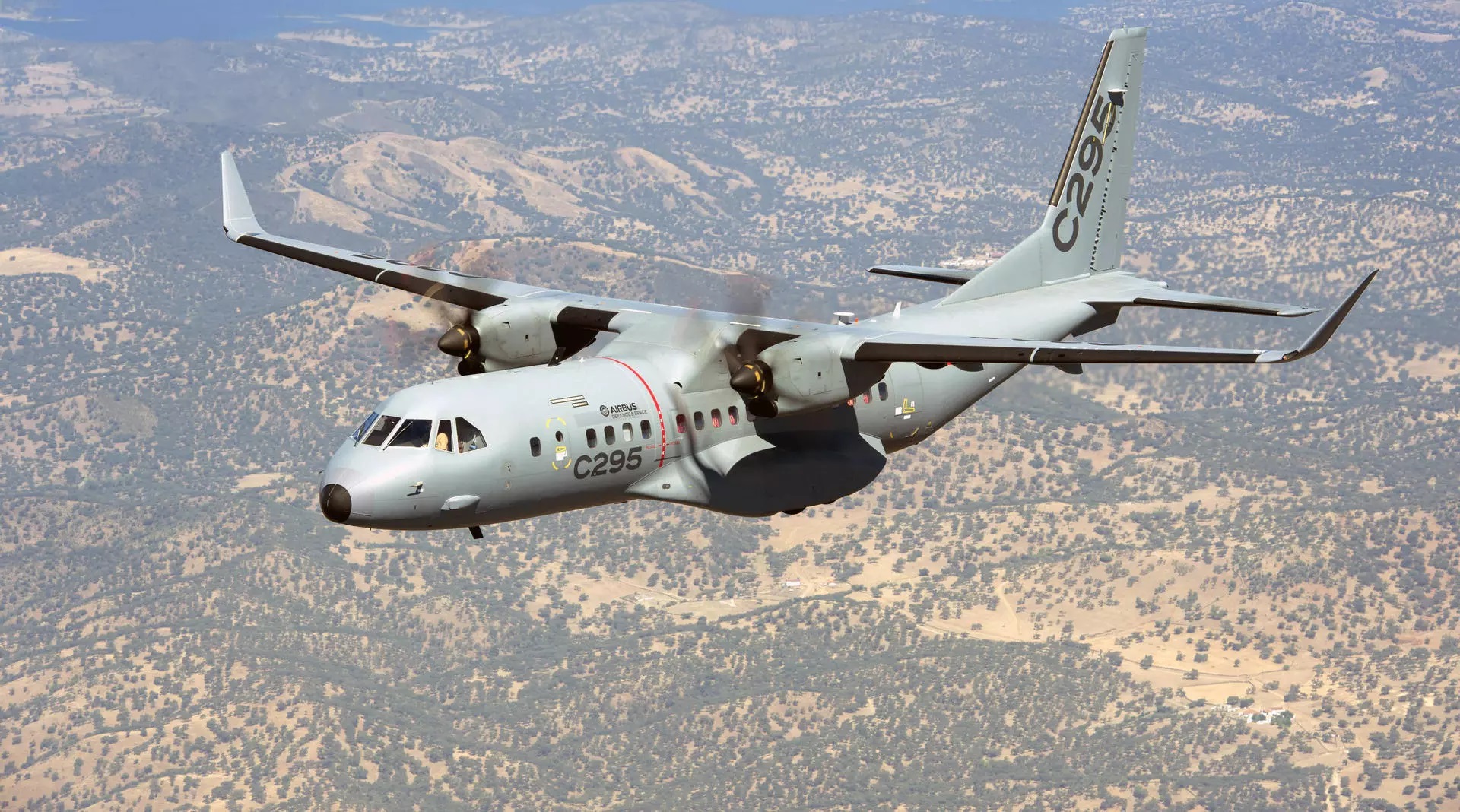 C295