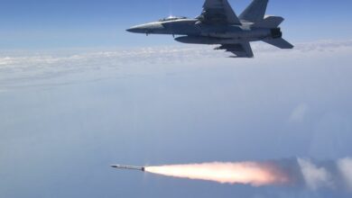 Advanced Anti-Radiation Guided Missiles