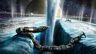 Exobiology Extant Life Surveyor