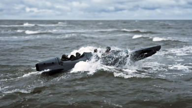 Shadow Seal