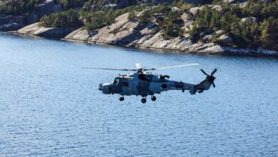 Wildcat over the fjords