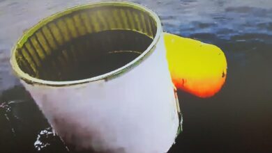 Alleged wreckage of North Korean satellite
