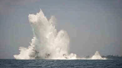 sea mine