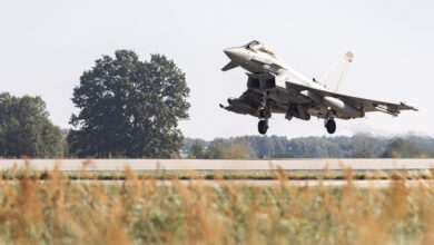 A UK Royal Air Force Lockheed Martin F-35 jet is seen taking off. A tree is on the left, serving as the background. A field of grass serves as the foreground, cut off from the background by what appears to be a concrete runway.