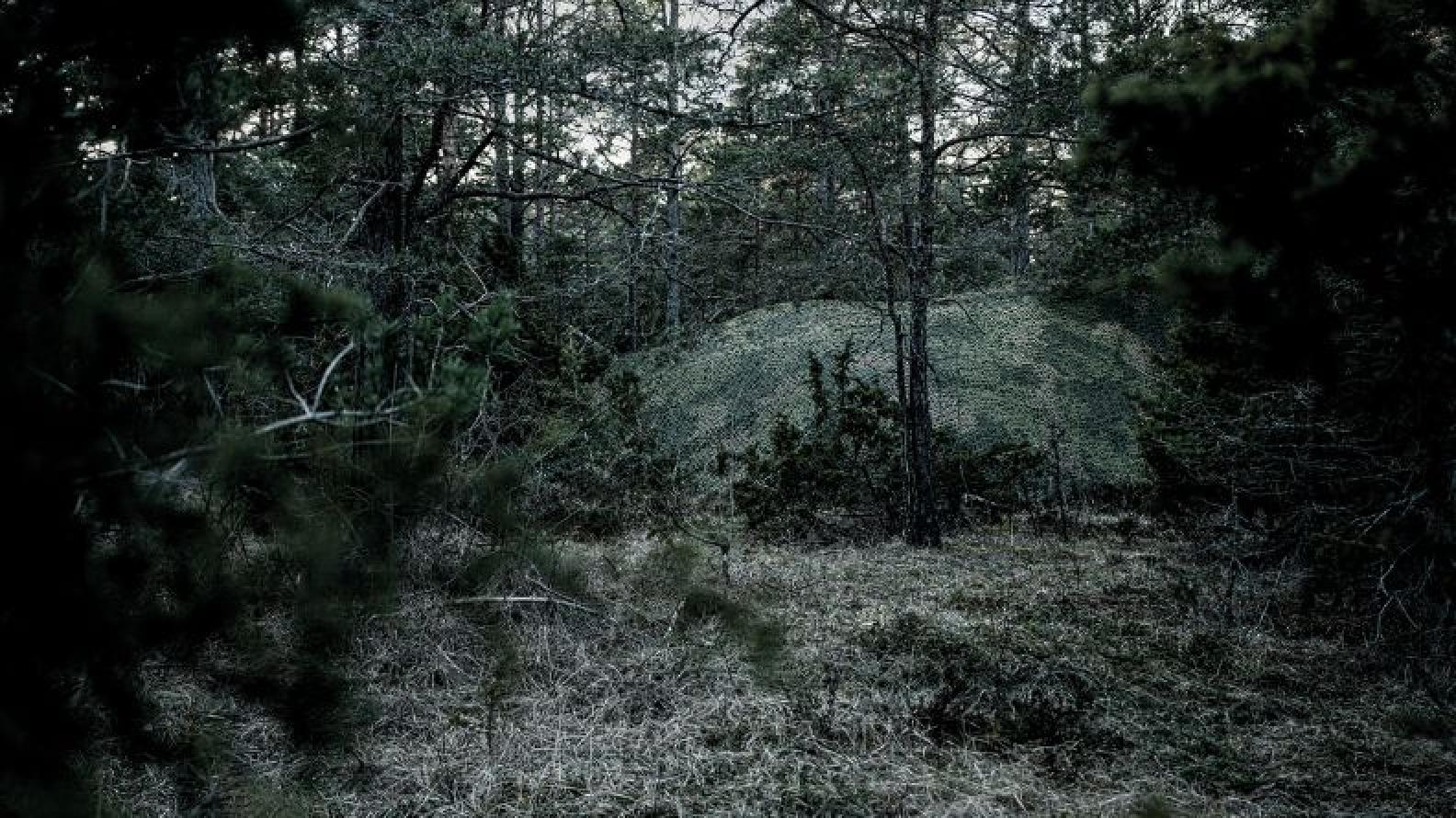 Multispectral camouflage