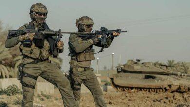 Arbel weapon system