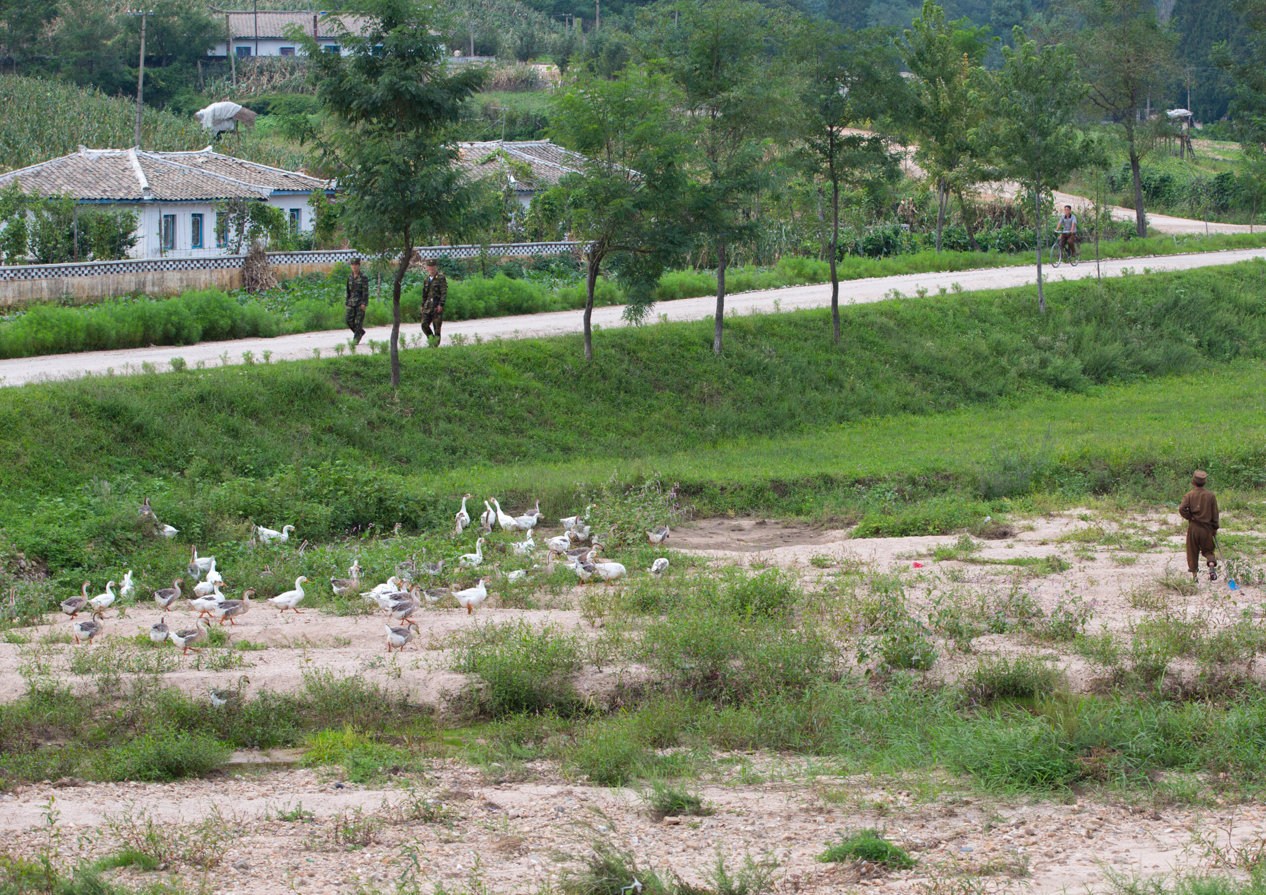 North Korean soldiers