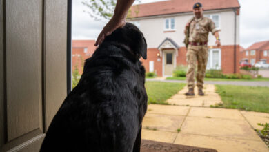 Image of a Service member, seen here coming home to the family dog Luna, at their Service Family Accommodation (SFA) in Whittington Barracks, Lichfield. Thousands of Armed Forces families will benefit from new freedoms to keep pets and personalise their homes as part of the Government’s commitment to improve forces housing. The measures, announced today include greater freedoms to own pets, decorate, and personalise houses, and run businesses from home.   The latest improvements to military family housing — some already in effect from 9 August — mark a key milestone in delivering the Government’s new Consumer Charter. Defence Secretary John Healey has pledged to put forces families at the heart of defence housing reform, vowing to “stop the rot” and raise standards across service accommodation nationwide. The Charter is part of the forthcoming Defence Housing Strategy, which will set out plans for a generational renewal of forces housing, helping renew the nation’s contract with those who serve and supporting the Government’s Plan for Change.  