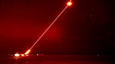 Dragonfire_Night_Shot
