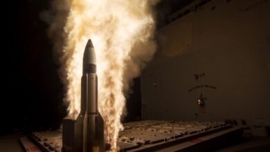 Missile inside vertical launch system